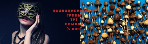 сатива Арсеньев