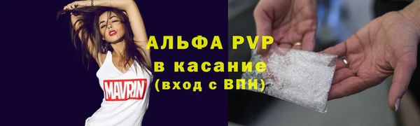 сатива Арсеньев